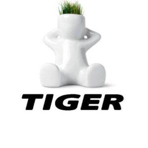 tiger-italia.jpg