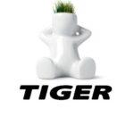 Tiger - Verona