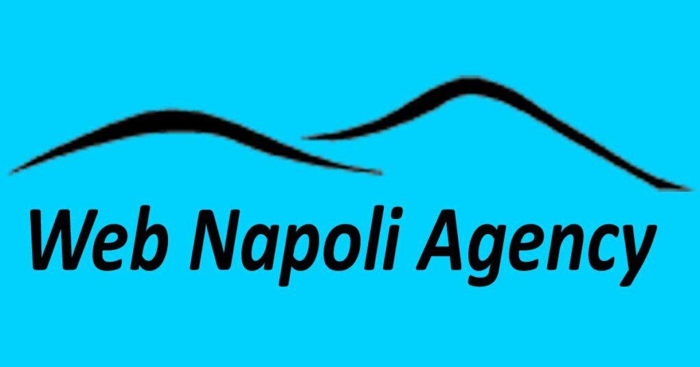 Logo della Web Napoli Agency di Alessandro Di Somma