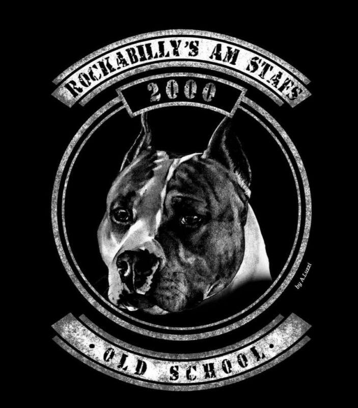 amstaff-allevamento.jpg
