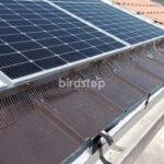 Barriera anti piccioni pannelli solari fotovoltaici