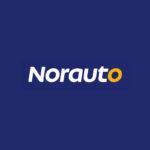 Norauto Nichelino Logo